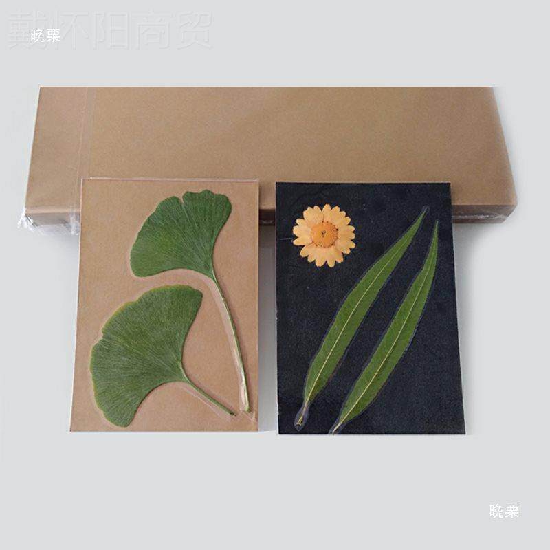 植本标底卡400克硬纸物卡手工6DIY手绘IZX贺卡A4A黑白牛卡双面彩