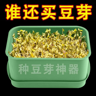 家用发豆芽工具神器食品级发芽盆生绿豆芽方法芽花生芽专用盆种植