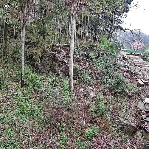 天视通300万音频广角网络摄像机H265红外防水夜视高清室外监控头