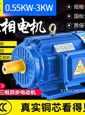 YE2三相异步电动机0.55/0.75/1.1/1.5/2.2/3KW全铜线电机380V调速