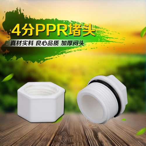 PPR塑料丝堵 外丝堵帽 堵头 管堵 闷头 4分内丝螺纹堵头 水管堵头