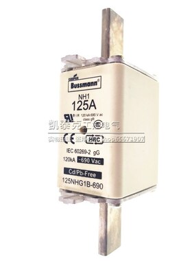 BUSSMANN熔断器 125NHG1B-690 NH1 125A 690V 陶瓷保险丝 120KA