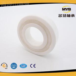 名扬品牌耐腐蚀 全陶MXP瓷耐轴承型号C齐全 陶E瓷轴承200E 66216C