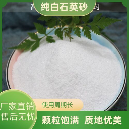 贵州i石英砂纯白 白色细沙白沙子白砂灭烟沙K酒店专用灭烟砂石英