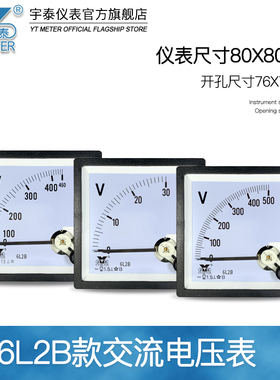 6L2B交流电压表250v 300v 450v 500v 600v 750v指针cp80 be80 ac