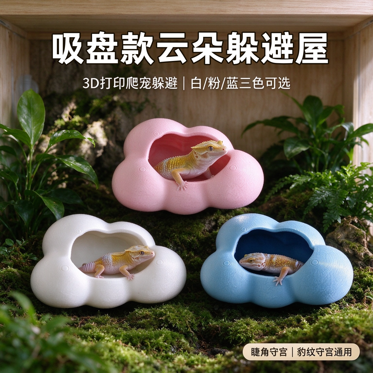 3D打印吸盘悬空睫角守宫躲避窝