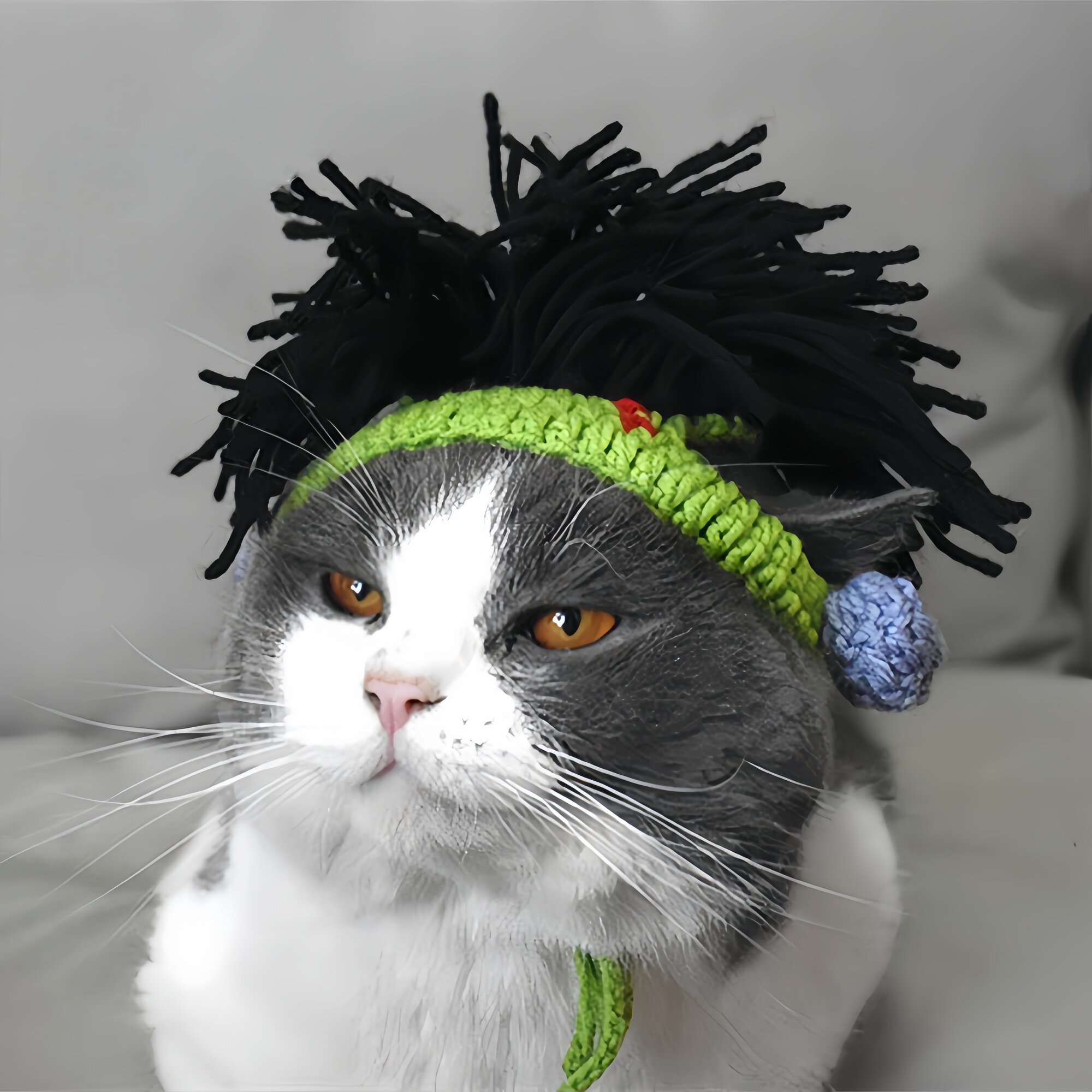 猫咪搞笑帽子无毛猫斯芬克斯头套狗狗德文朋克雷鬼摇滚风装饰变装