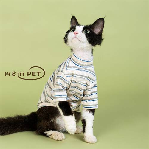 HOiii PET简约渐变条纹卫衣德文猫衣服无毛猫打底衫韩系居家服