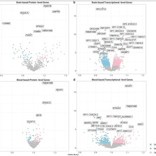 医学数据统计cox生存分析ROC曲线森林图柱状图R语言科研绘图 代做