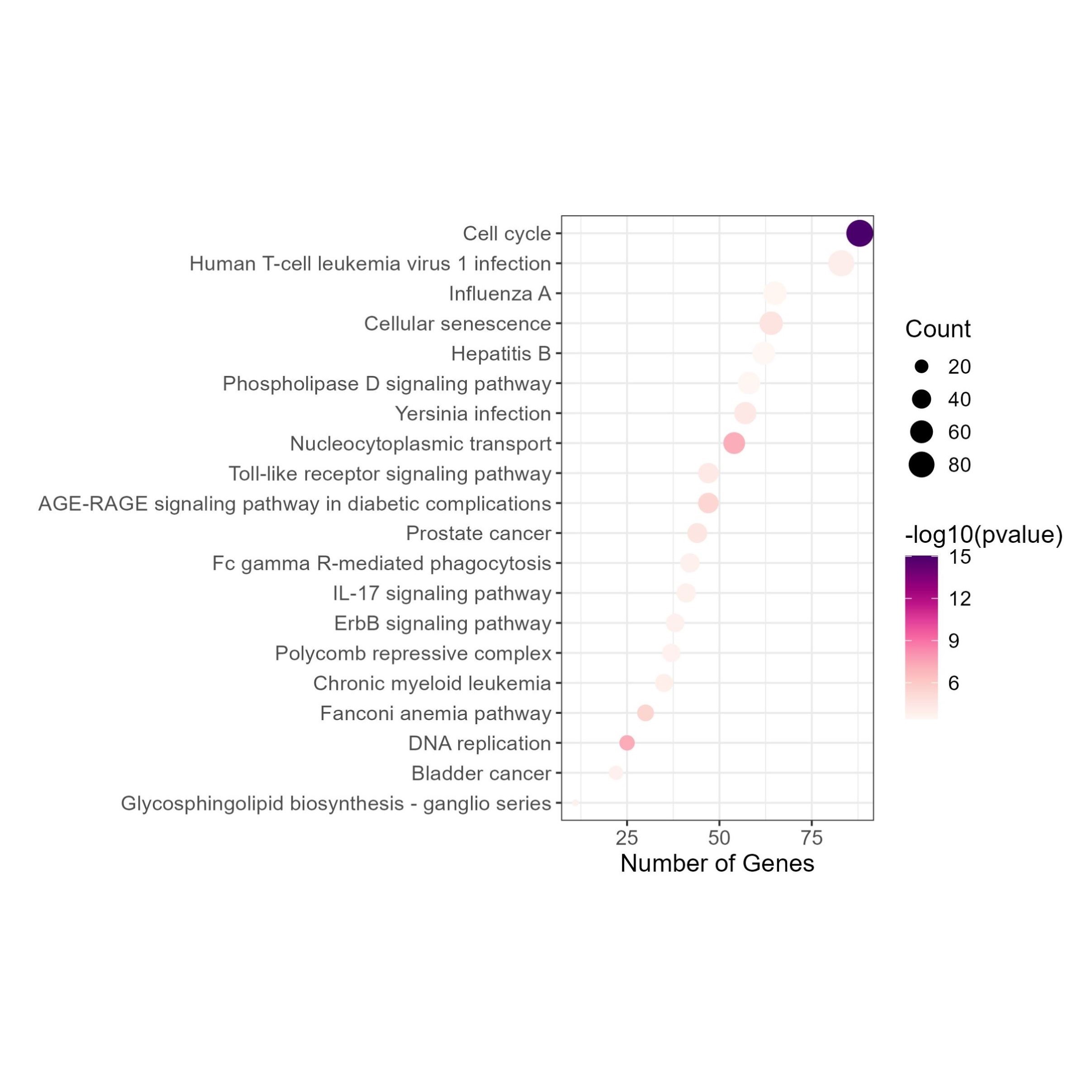 生信分析单细胞测序转录组TCGA/GEO数据库挖掘分析生信服务