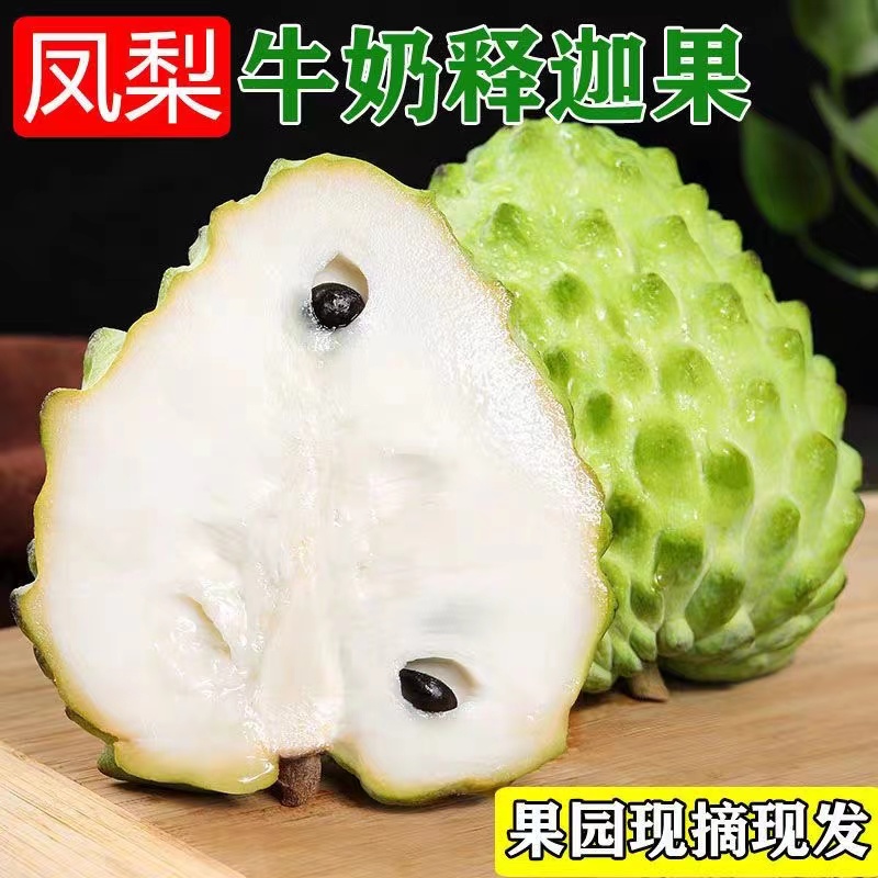 凤梨牛奶释迦果5斤新鲜水果林檎番荔枝大果佛头摩尼果现摘10A