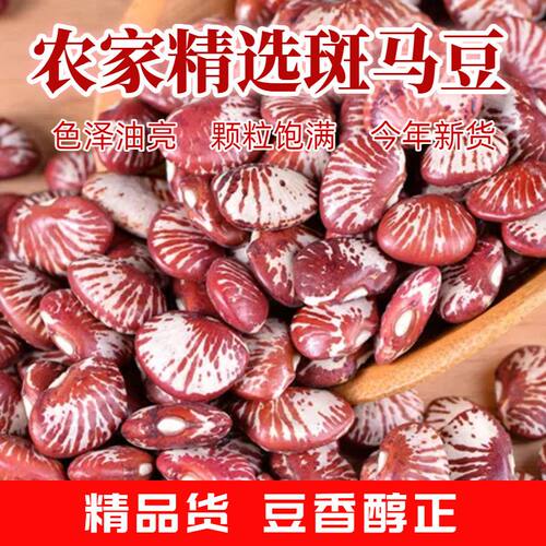 农家斑马豆云南特产红豆新货五谷杂粮花豆子红腰豆类红芸豆饭豆米