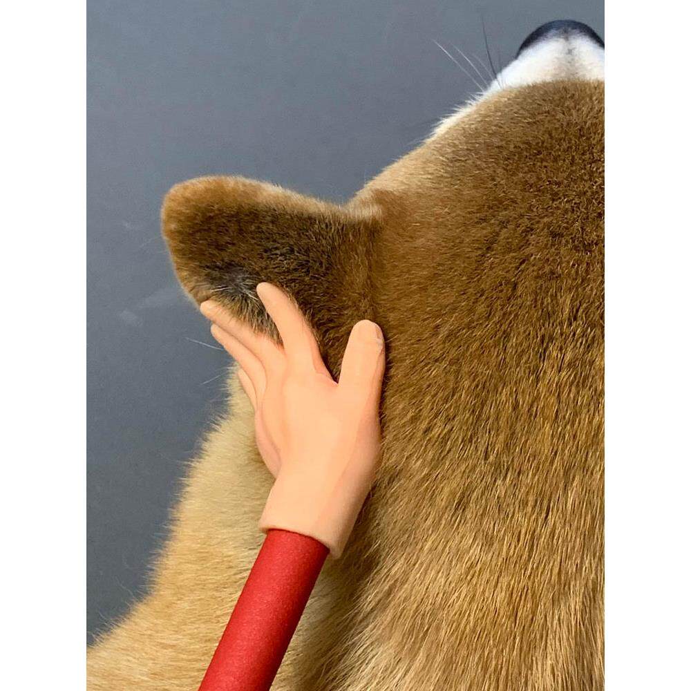 宠物玩具逗狗棒逗猫棒迷你手指玩具指套小手玩具狗狗手套撸狗撸猫