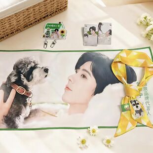 B浪刘宇宁联名周边精美高颜值专属丝巾小屋钥匙扣家居装饰送礼