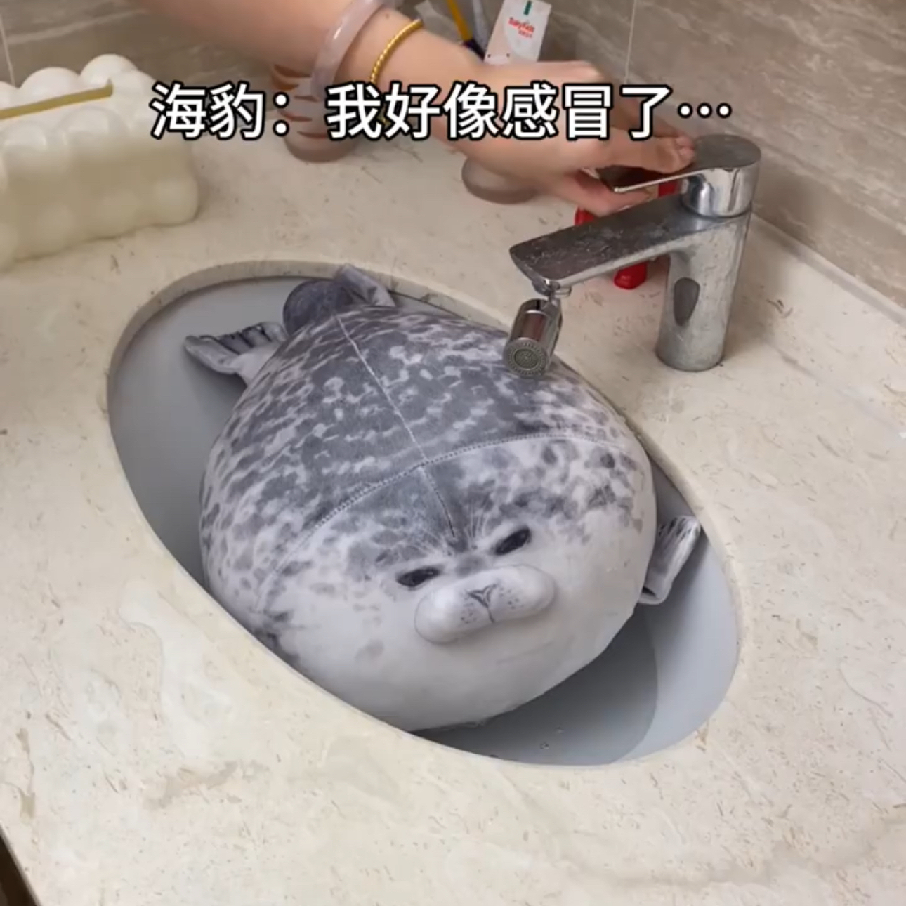 小红书同款海豹抱枕海游馆人气软绵绵海豹公仔水族馆毛绒玩具礼品