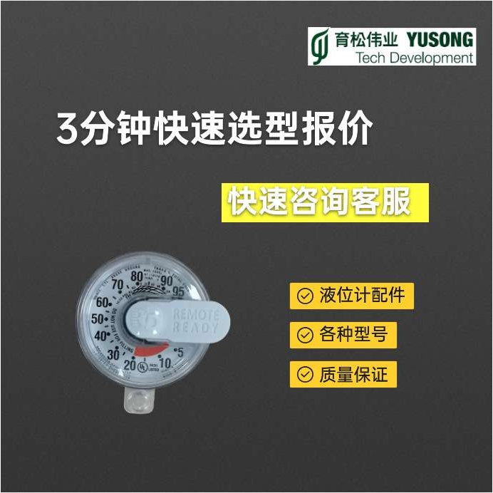 ROCHESTER液位计表盘浮球工业高精度