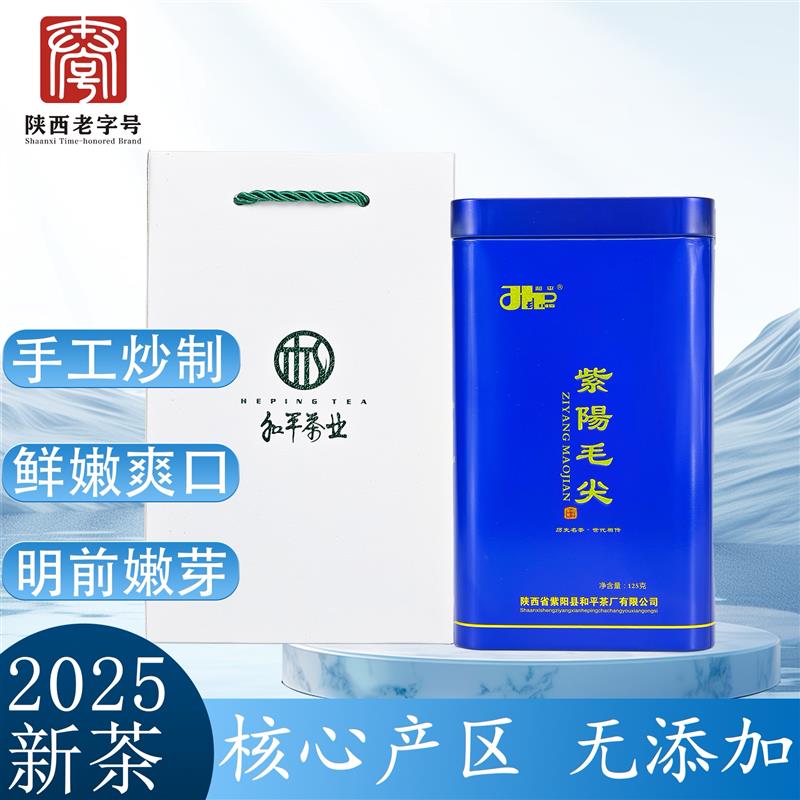 2025现货新茶明前一级紫阳手工毛尖绿茶紫阳富硒茶产区春茶叶125g