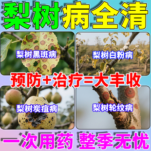 梨树专用药锈病不伤果树强力杀菌杀虫剂黑斑炭疽叶斑病菌清叶面肥