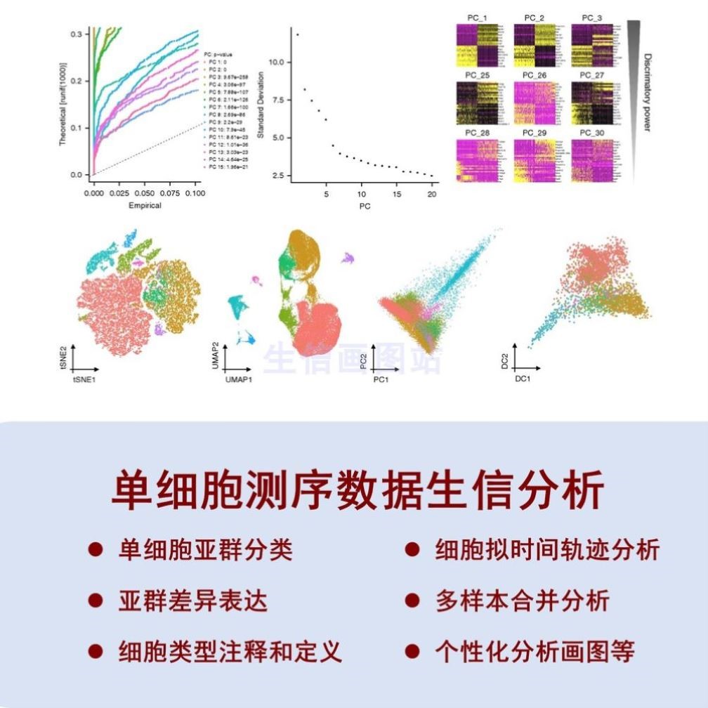 生信分析服务单细胞分析TCGA/GEO公共数据库挖掘分子对接基因分析