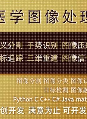 Python代编医学图像分割深度学习语义分割计算机视觉生成对抗网络
