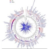 生信分析服务基因测序结果序列分析高通量测序数据分析基因组注释