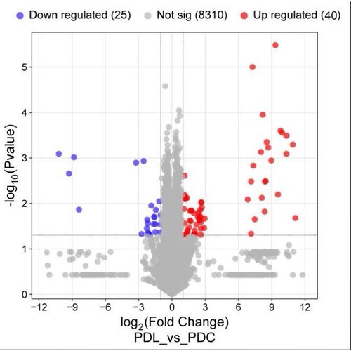 生信分析服务TCGA GEO数据挖掘单细胞测序转录组数据分析分子对接