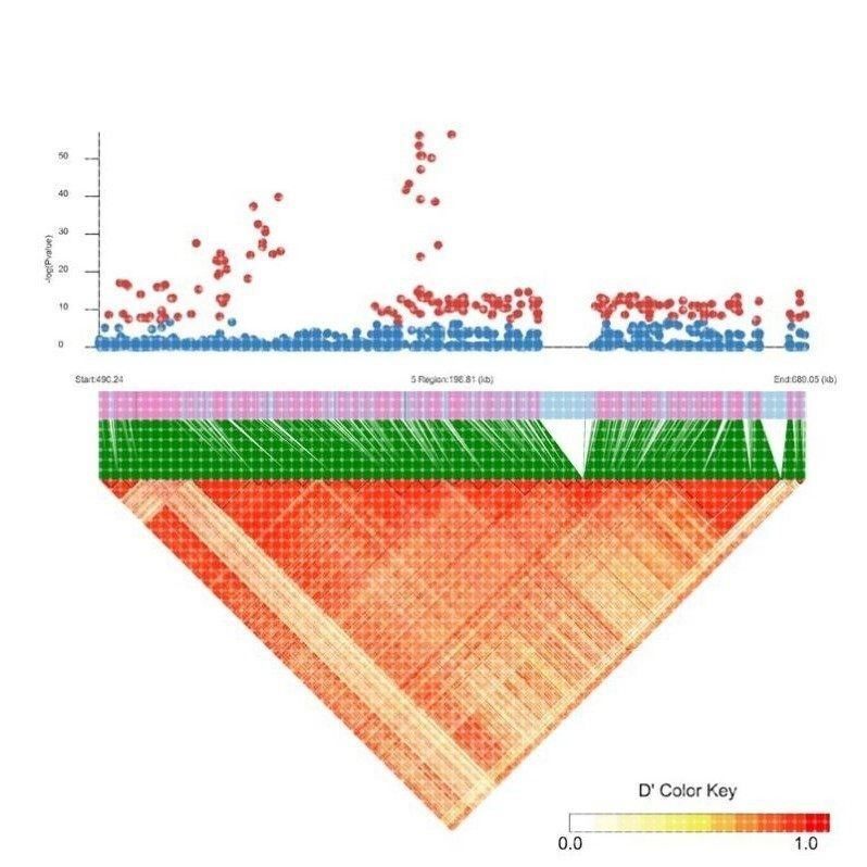 植物生物信息GWAS分析2D3D绘图/单倍型分析构建进化树/生物信息,商务/设计服务,2D/3D绘图,淘宝优惠券,粉丝福利购,淘宝优惠卷