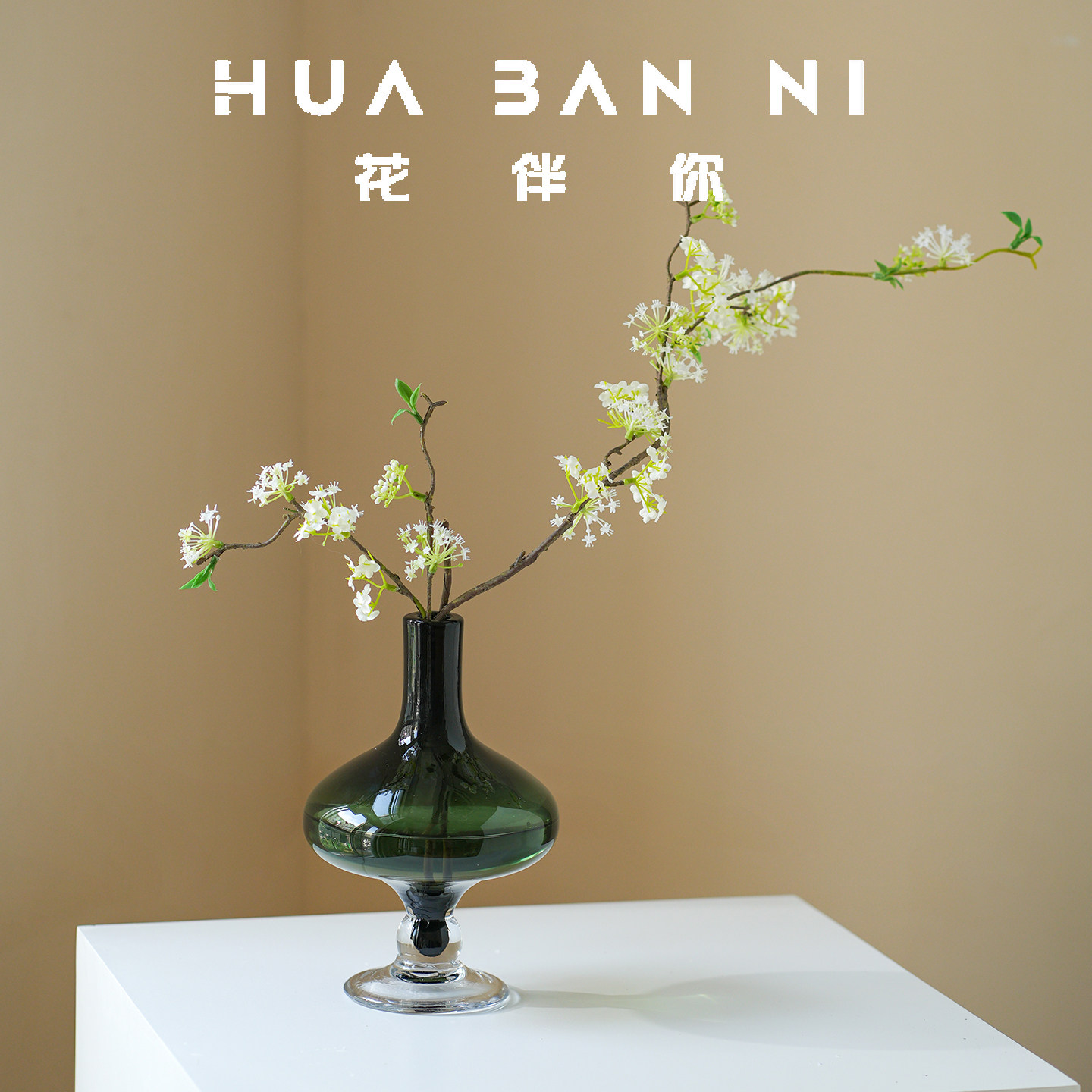 中古风高级感玻璃花瓶摆件水培鲜花艺术中古花器小口大肚鲜花瓶