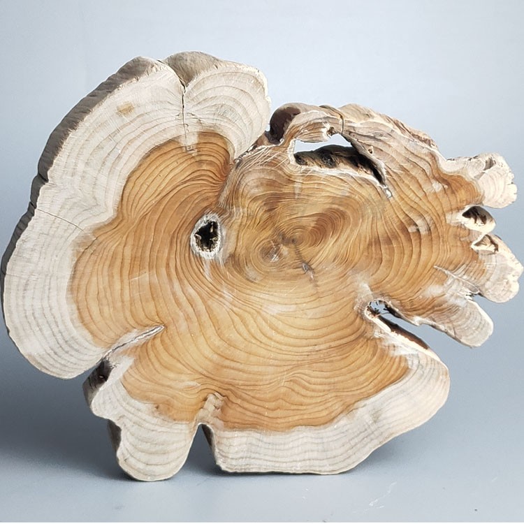 根雕木雕摆件枯木k风化木陈化料根料年轮片木片原木横节片底托底
