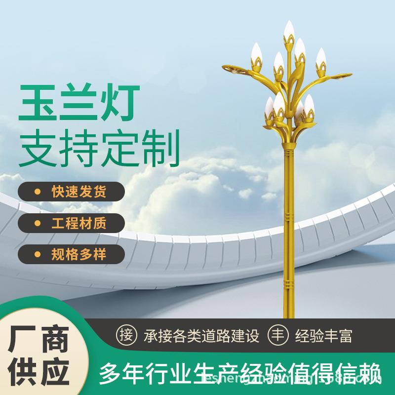 玉兰灯厂家玉兰灯广场户外道路照明市电路灯工程景观灯