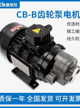 380V三相供电液压齿轮泵CB-B6/B4/B10/B2.5/B16三角机摆线油泵电