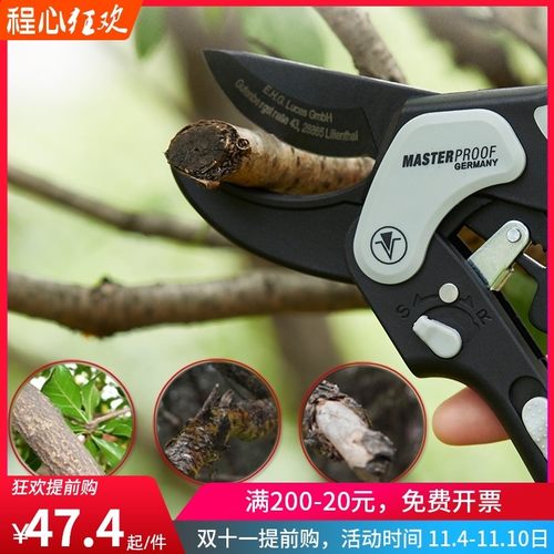 德国品牌麦思德 园林剪刀 园艺剪 修枝整枝剪果树剪子盆景 修剪刀