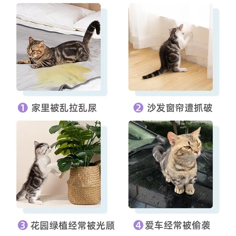 道力其宠物禁区喷雾500ml大容量驱避剂防止狗狗乱咬乱撒 驱猫剂