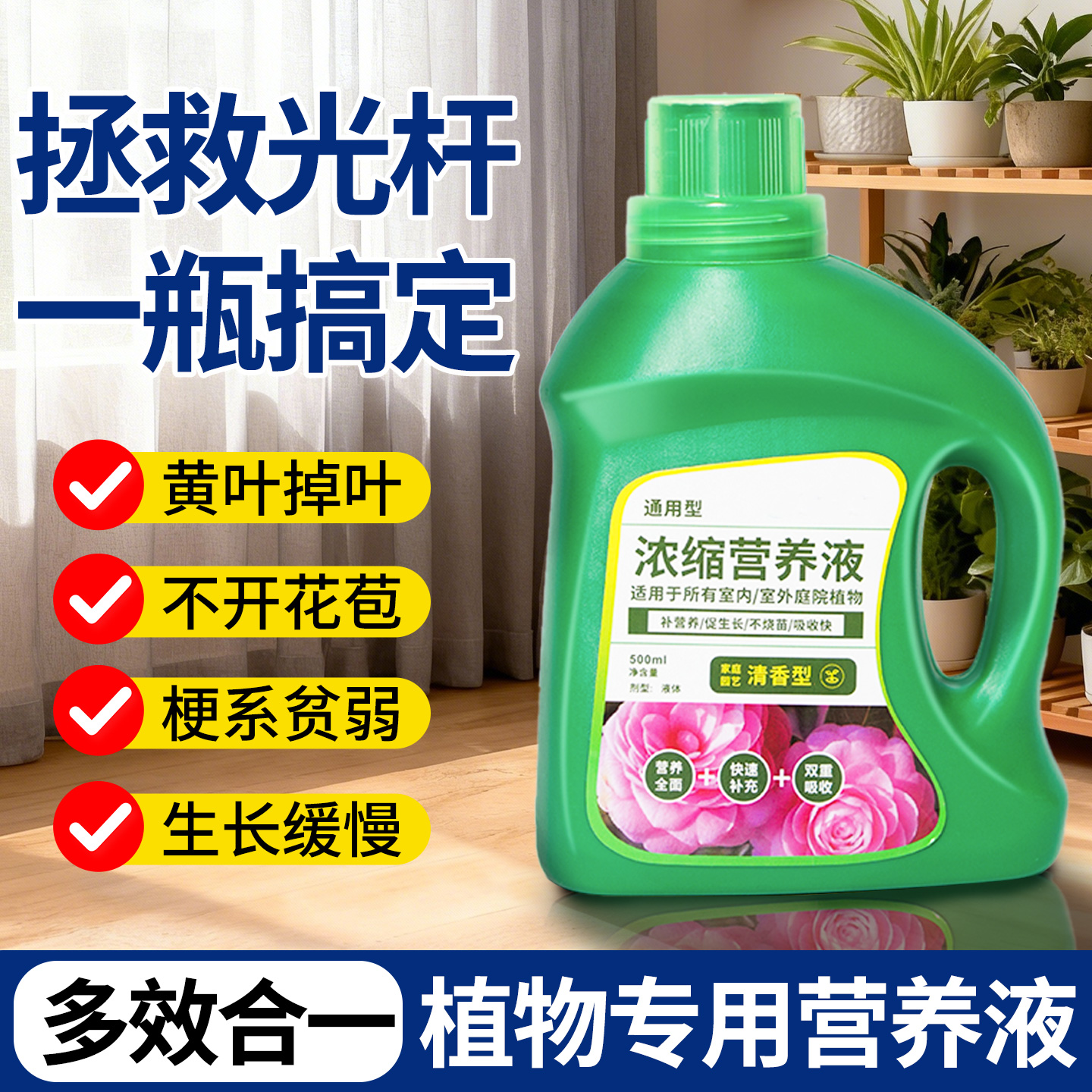 营养液植物通用型绿萝富贵竹发财