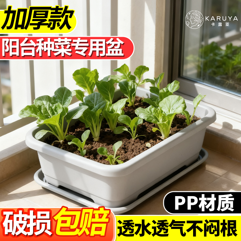 阳台种菜盆专用箱家用大号蔬菜种植箱塑料长方形庭院户外加厚花盆