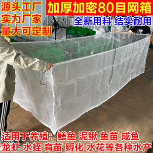 定做养殖专用网箱养鱼网箱黄鳝泥鳅加厚鳝鱼鱼苗龙虾青蛙带盖网箱