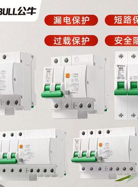 公牛空气开关断路器家用2p32A空开63A电闸家用不带漏电保护器1P