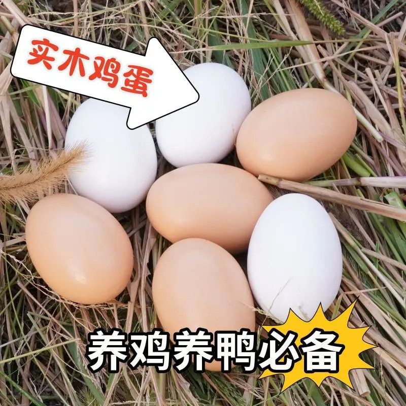 实心木质假鸡蛋仿真引窝蛋模型