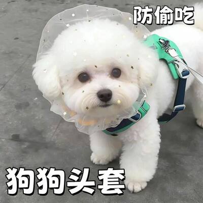 防偷吃乱吃网纱狗狗头套小型