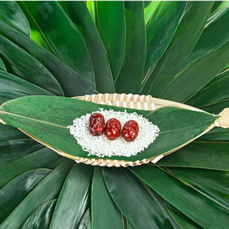 【100张新鲜粽叶】端午节包粽子叶专用特大号箬叶天然