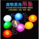 狗狗发光吊坠防丢遛狗灯夜光灯宠物用品发光挂饰LED发光吊坠