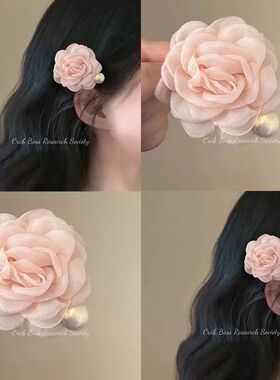 2025新款高端发饰侧边夹碎发头饰可露丽风粉色网纱花朵山茶花发夹