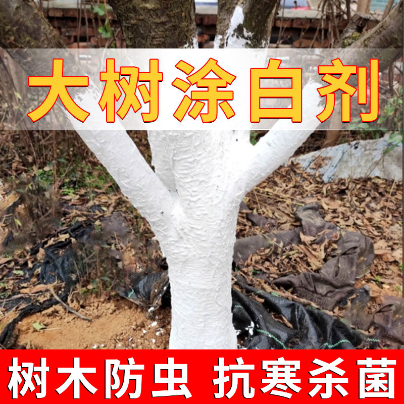 大树涂白剂果树越冬防冻防晒防虫市政园林专用大树刷白粉剂可喷涂