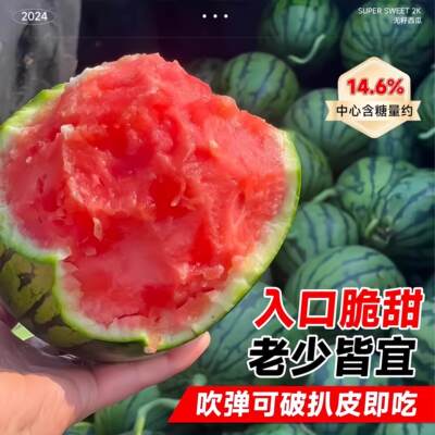 美都四季无籽西瓜种子8424冰糖