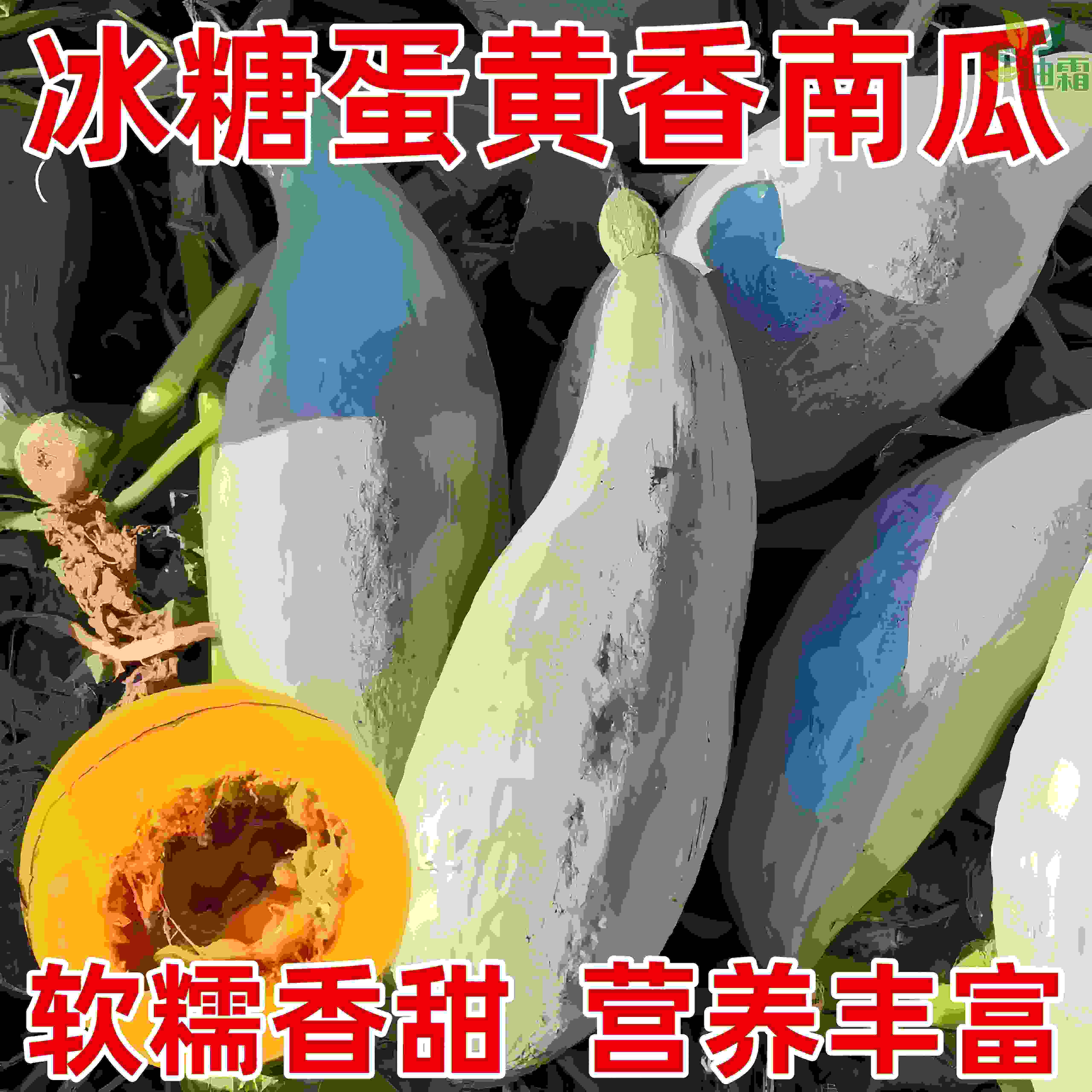 冰糖蛋黄香南瓜种子四季种植板栗味南瓜香甜糯贵族南瓜蔬菜种籽