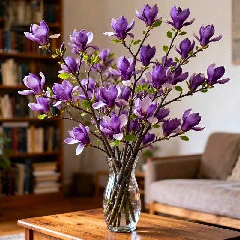 水培玉兰花卉紫玉兰植物干枝花苞开花耐寒鲜花装饰好养室内花卉