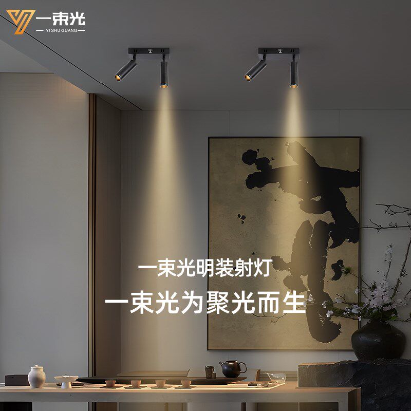 一束光聚光射灯四头明装客t厅茶室艺术饰品小酒馆氛围餐饮4头led,家装灯饰光源,明装射灯,淘宝优惠券,粉丝福利购,淘宝优惠卷
