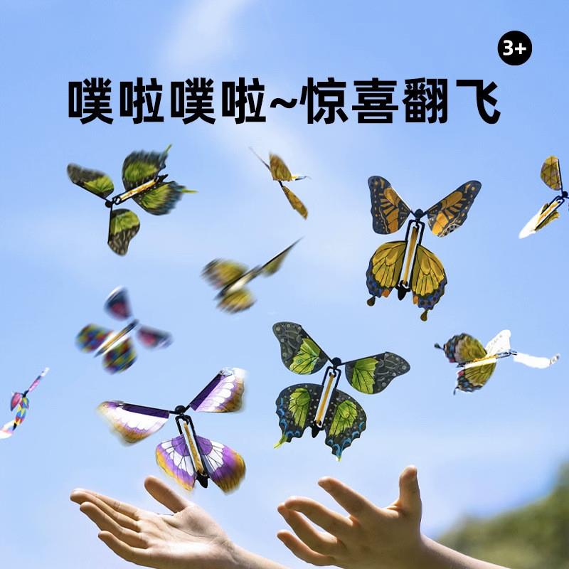 蝴蝶博物馆解压玩具儿童手