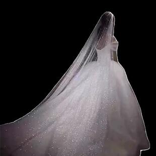 好货星空头纱新娘结婚主婚纱配饰超闪细闪粉双层超长拖尾结婚超仙