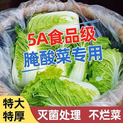 5A食品级超大东北腌酸菜专